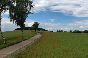 Heeseberg-Auffahrt